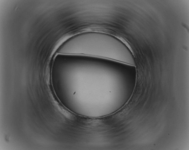 X0000091911131200709051206