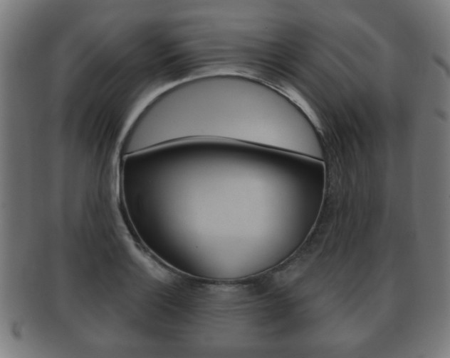 X0000091911132200709051206