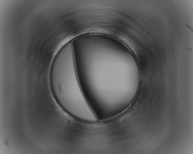 X0000091911133200709051206