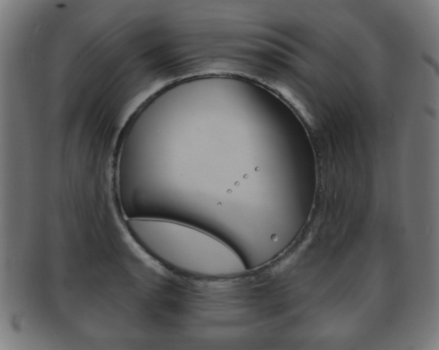 X0000091911134200709051206