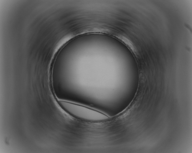 X0000091911135200709051206