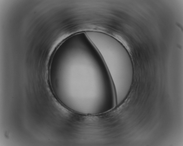X0000091911136200709051206