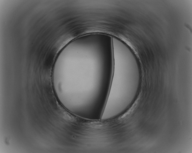 X0000091911137200709051206