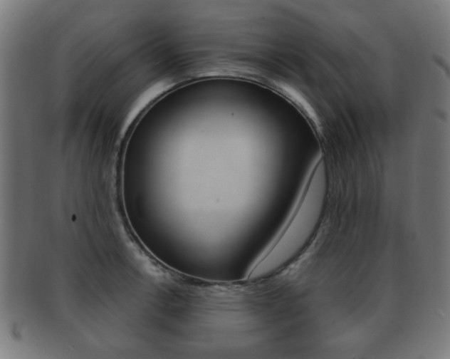 X0000091911138200709051206