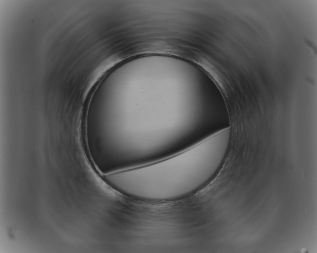 X0000091911139200709051206