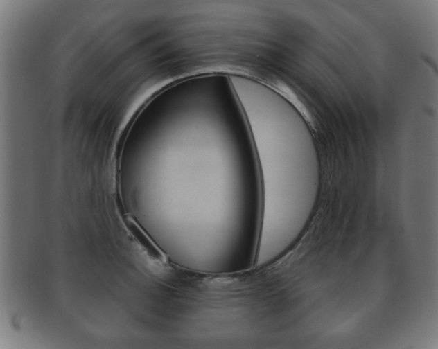 X0000091911140200709051206