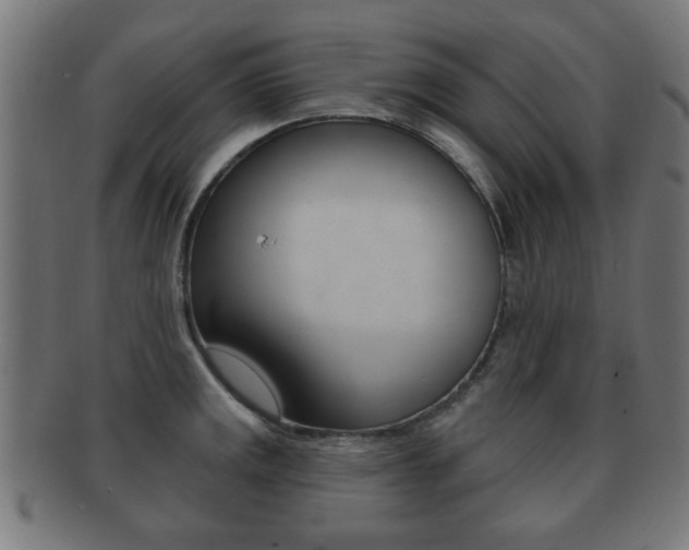 X0000091911141200709051206