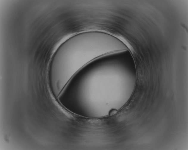 X0000091911142200709051206
