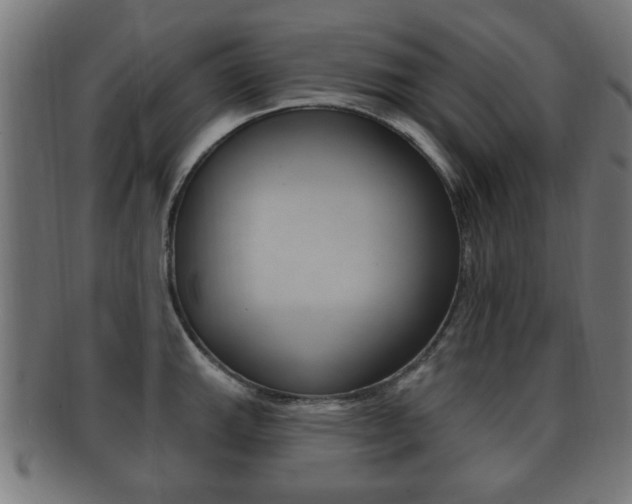 X0000091911143200709051206