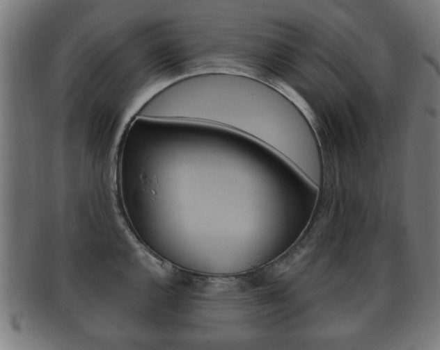 X0000091911144200709051206