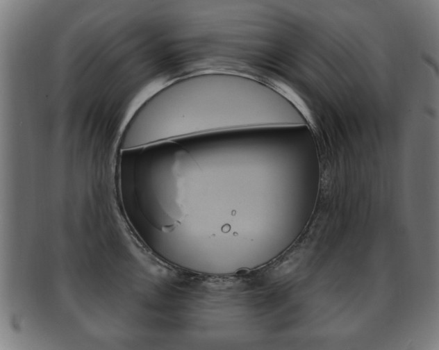 X0000091911146200709051206