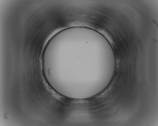 X0000091911150200709051206