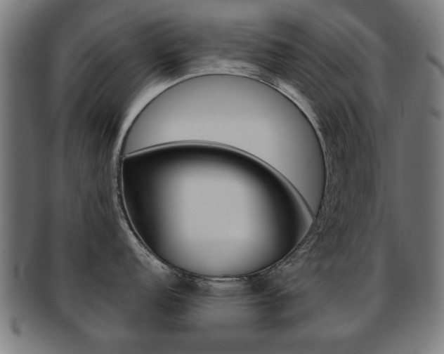 X0000091911152200709051206