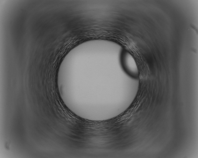 X0000091911153200709051205