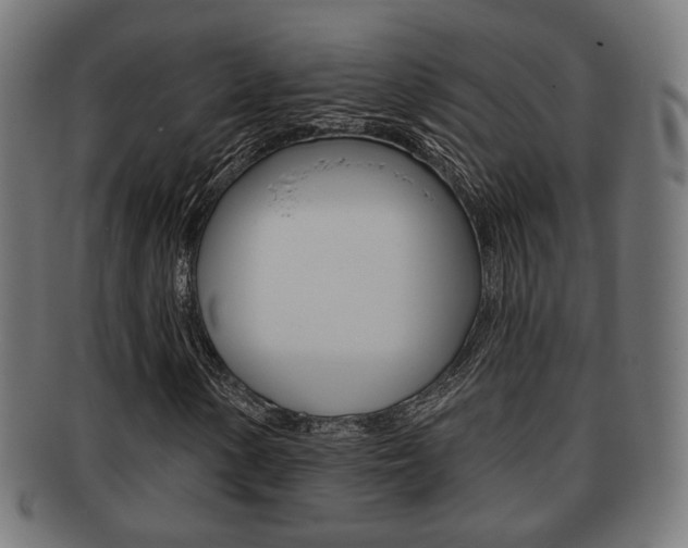 X0000091911154200709051205