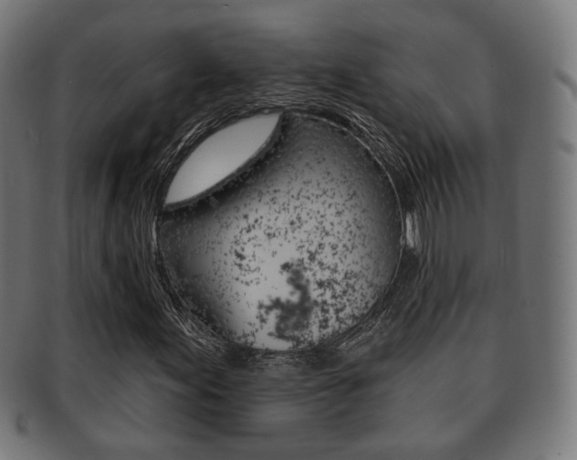 X0000091911155200709051205