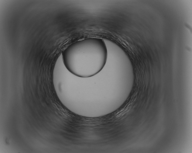 X0000091911156200709051205