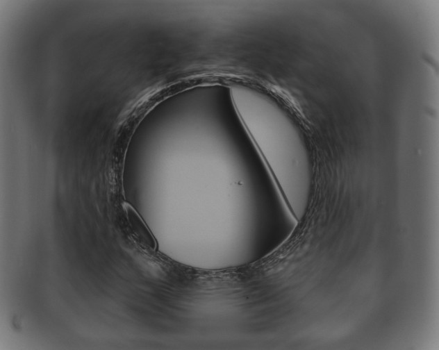 X0000091911159200709051205