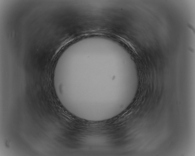 X0000091911160200709051205