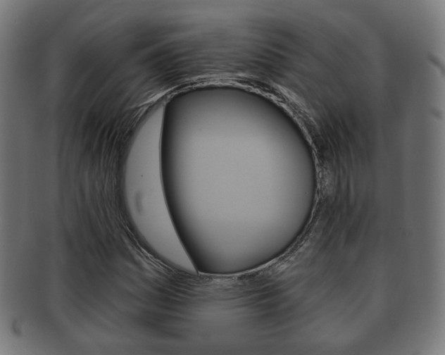 X0000091911161200709051205