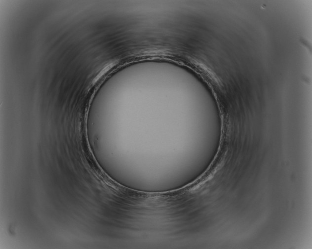 X0000091911162200709051205