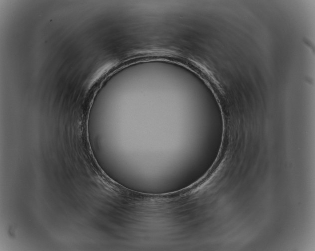X0000091911163200709051205