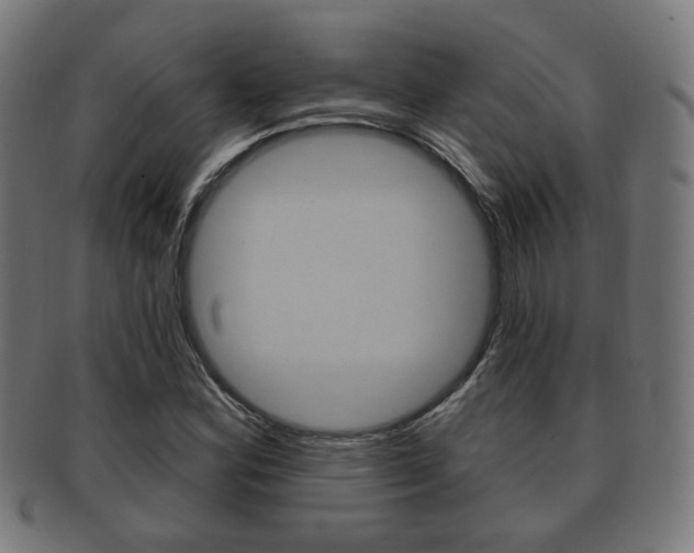 X0000091911164200709051205