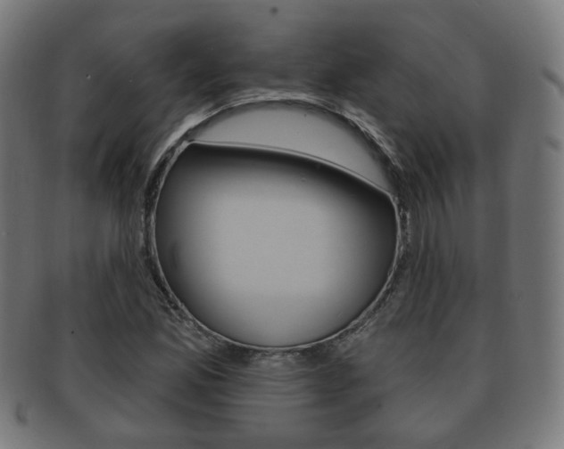 X0000091911165200709051205