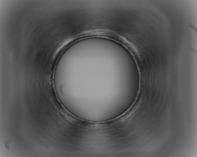 X0000091911166200709051205