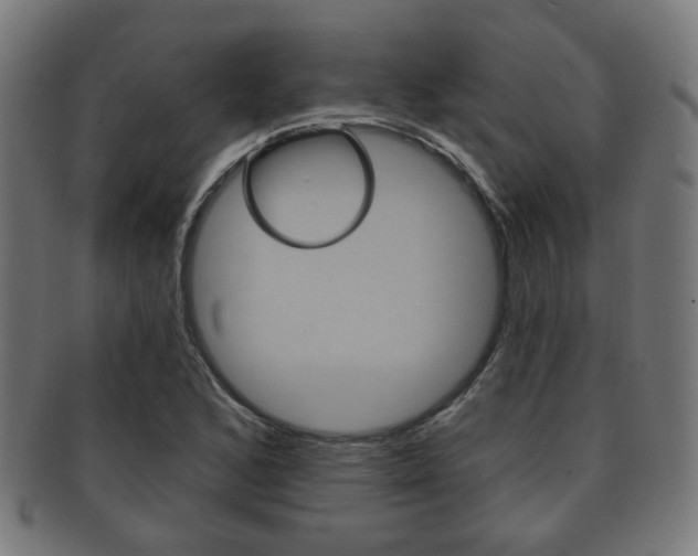 X0000091911168200709051205