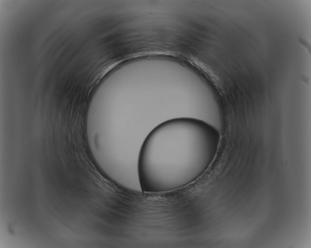 X0000091911169200709051205