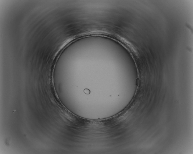 X0000091911170200709051205
