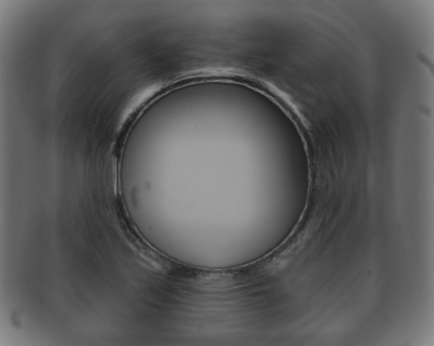 X0000091911171200709051205