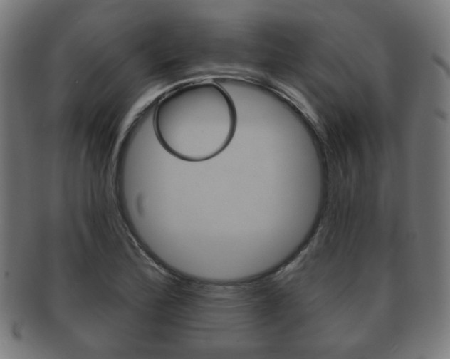 X0000091911172200709051205