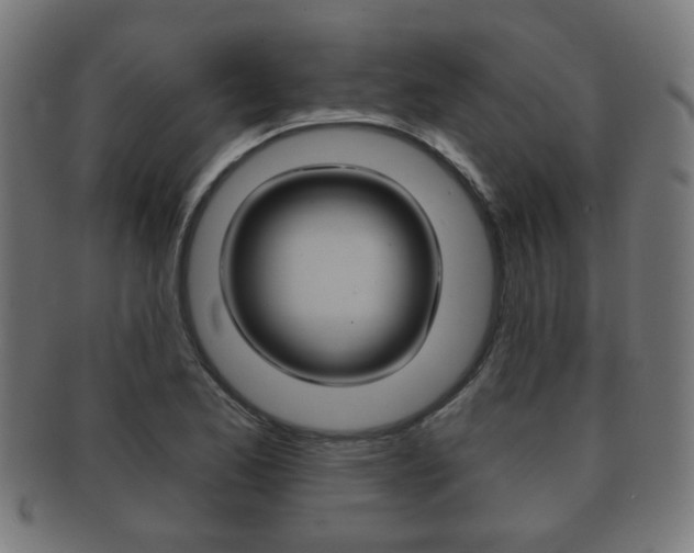 X0000091911173200709051205