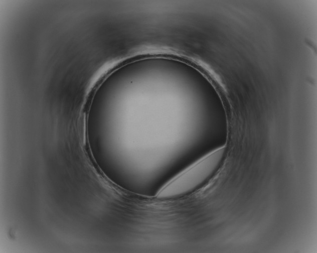 X0000091911175200709051205