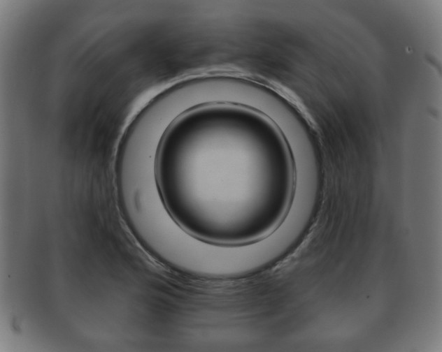 X0000091911176200709051205