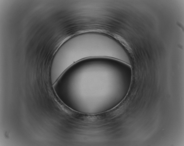 X0000091911177200709051205