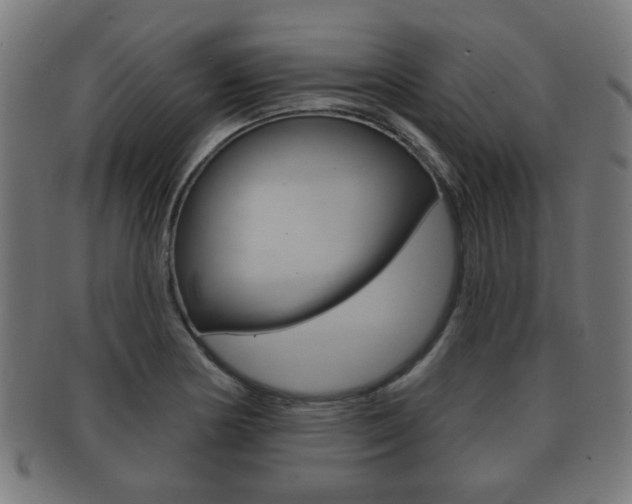 X0000091911178200709051205
