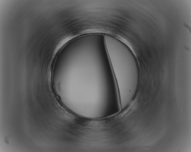 X0000091911179200709051205