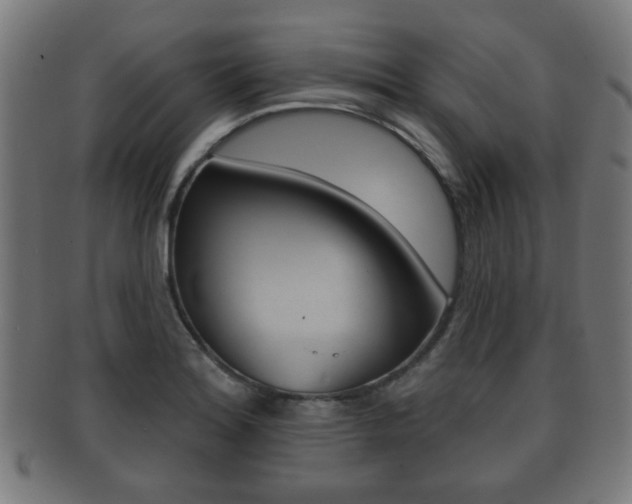 X0000091911180200709051205