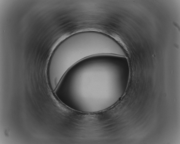 X0000091911181200709051205