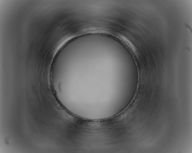 X0000091911182200709051205