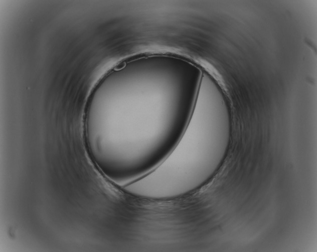 X0000091911183200709051205