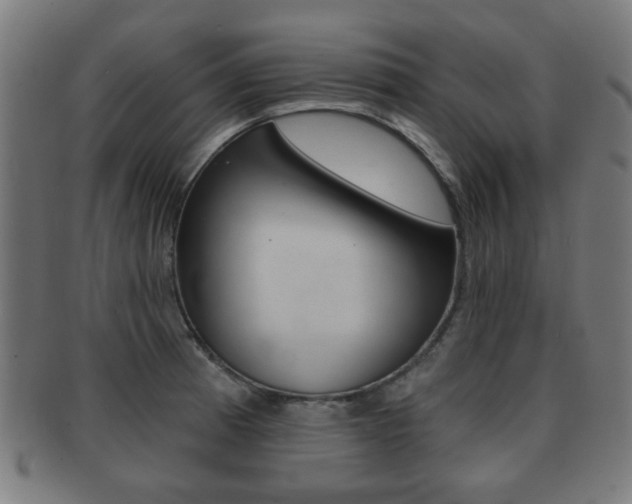 X0000091911185200709051205