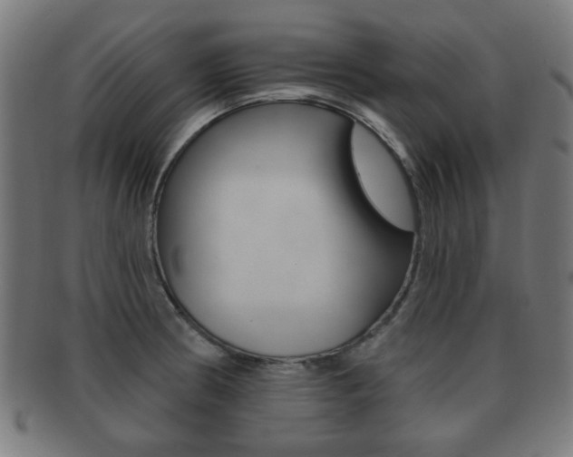 X0000091911186200709051205