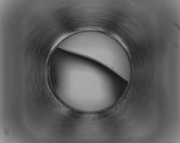 X0000091911187200709051205