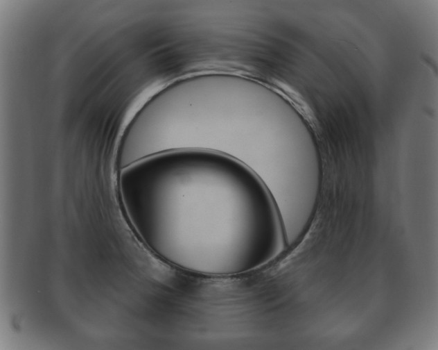 X0000091911188200709051205