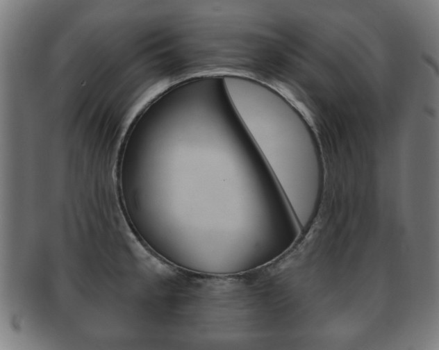 X0000091911189200709051205