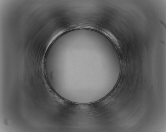 X0000091911190200709051205